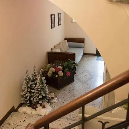 Brandolese Padova