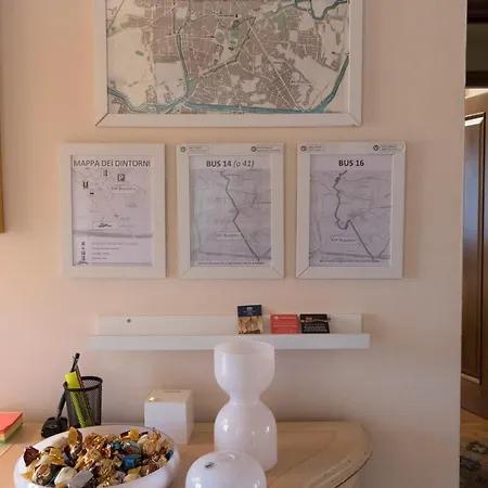 B&B Brandolese